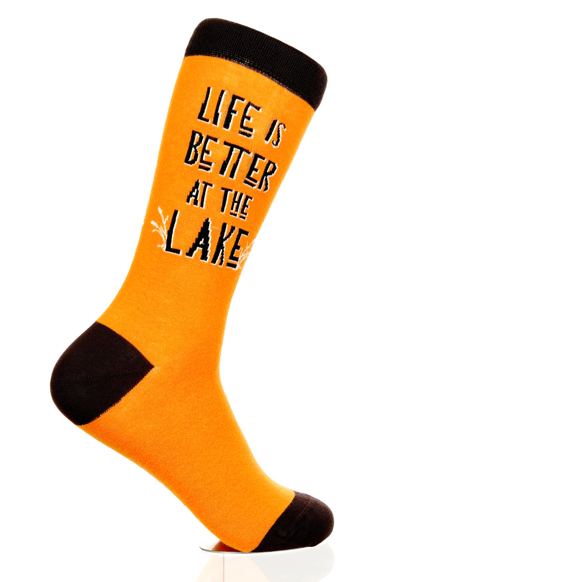 Lake Is Better At The Lake