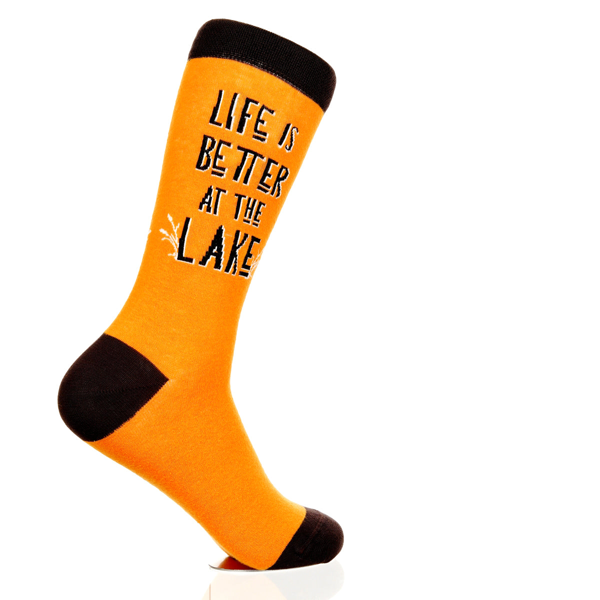 Lake Is Better At The Lake