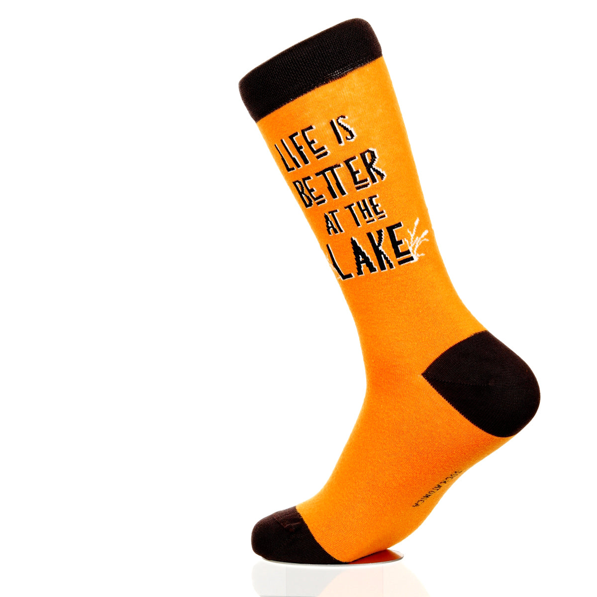 Lake Is Better At The Lake