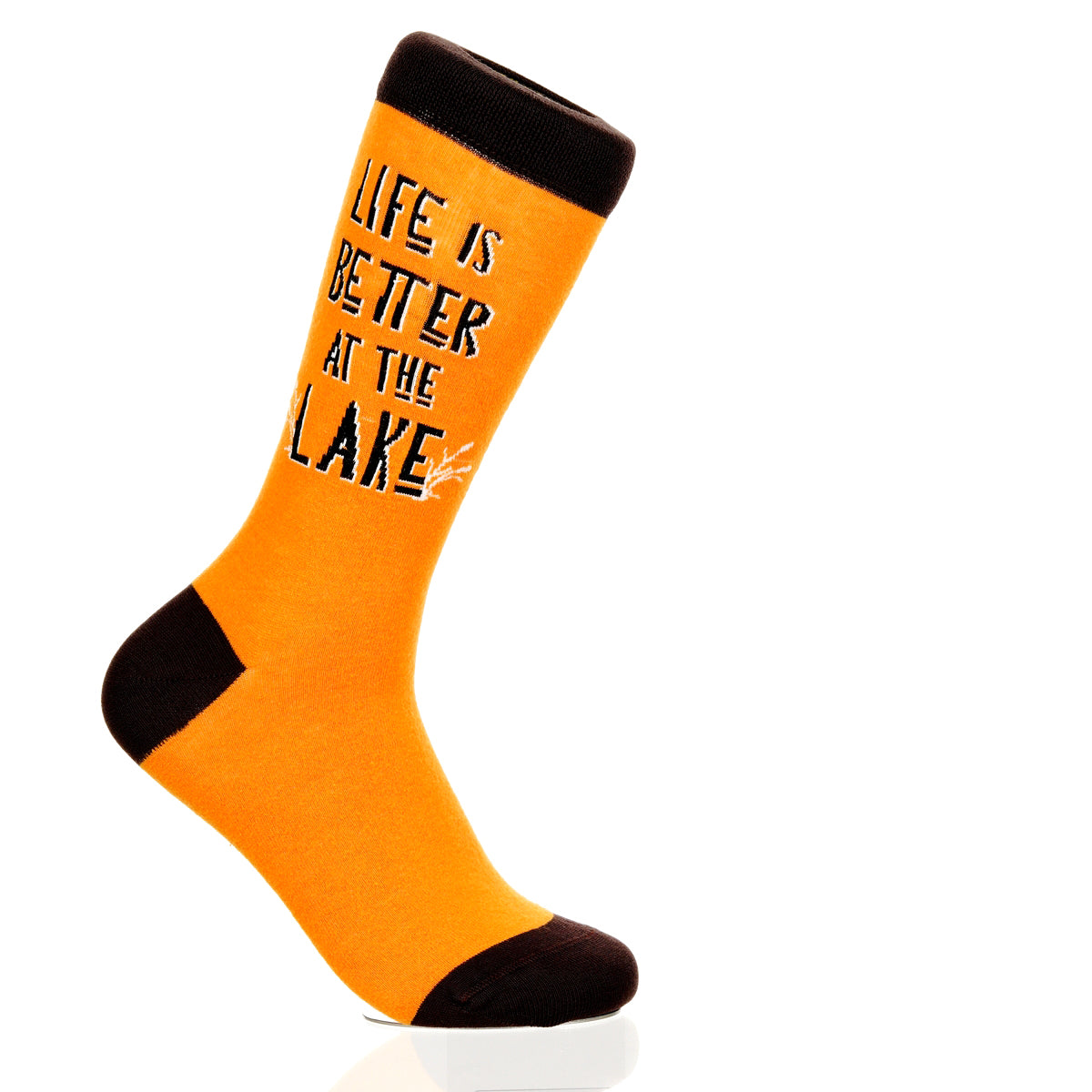 Lake Is Better At The Lake