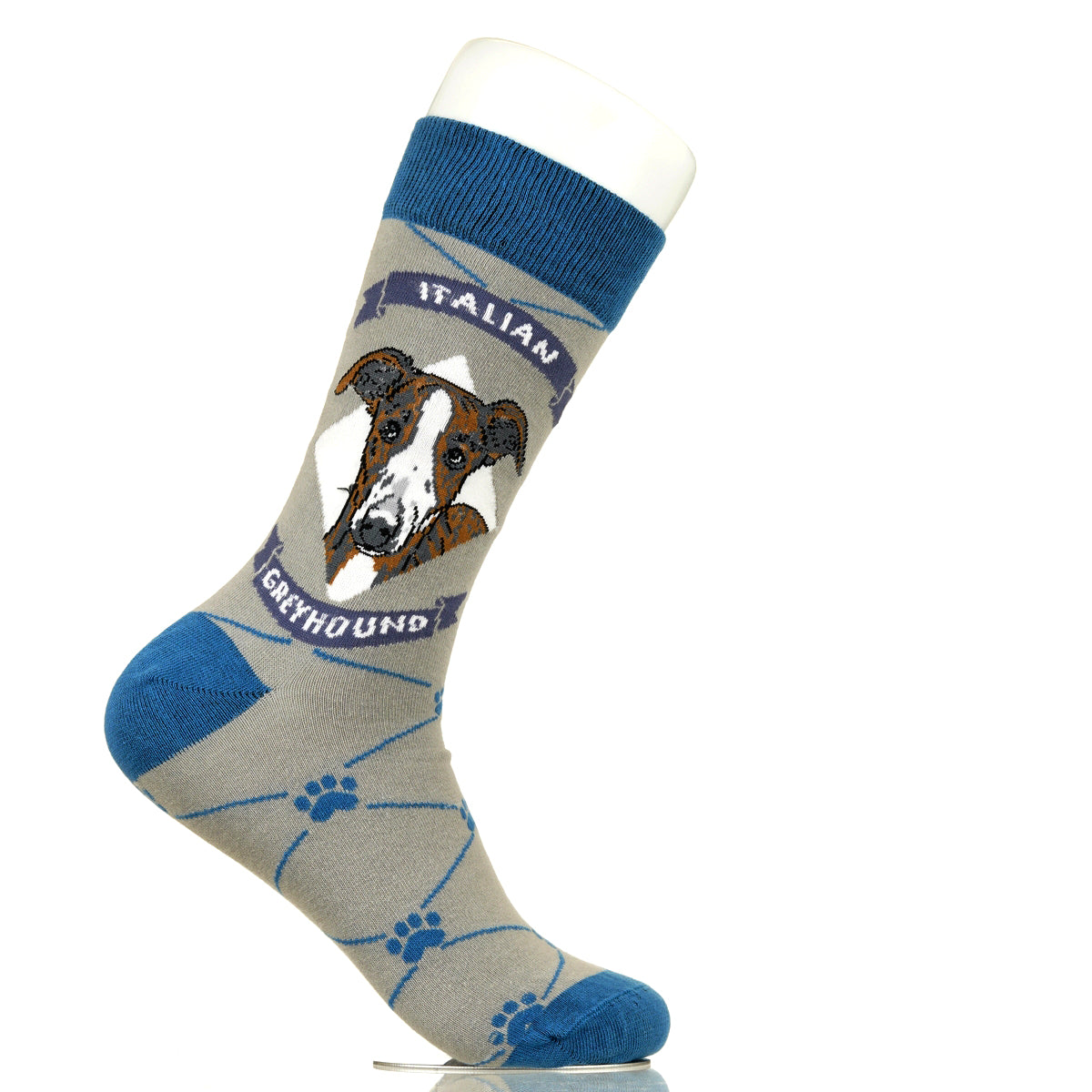 Italian Greyhound | Argyle Pups