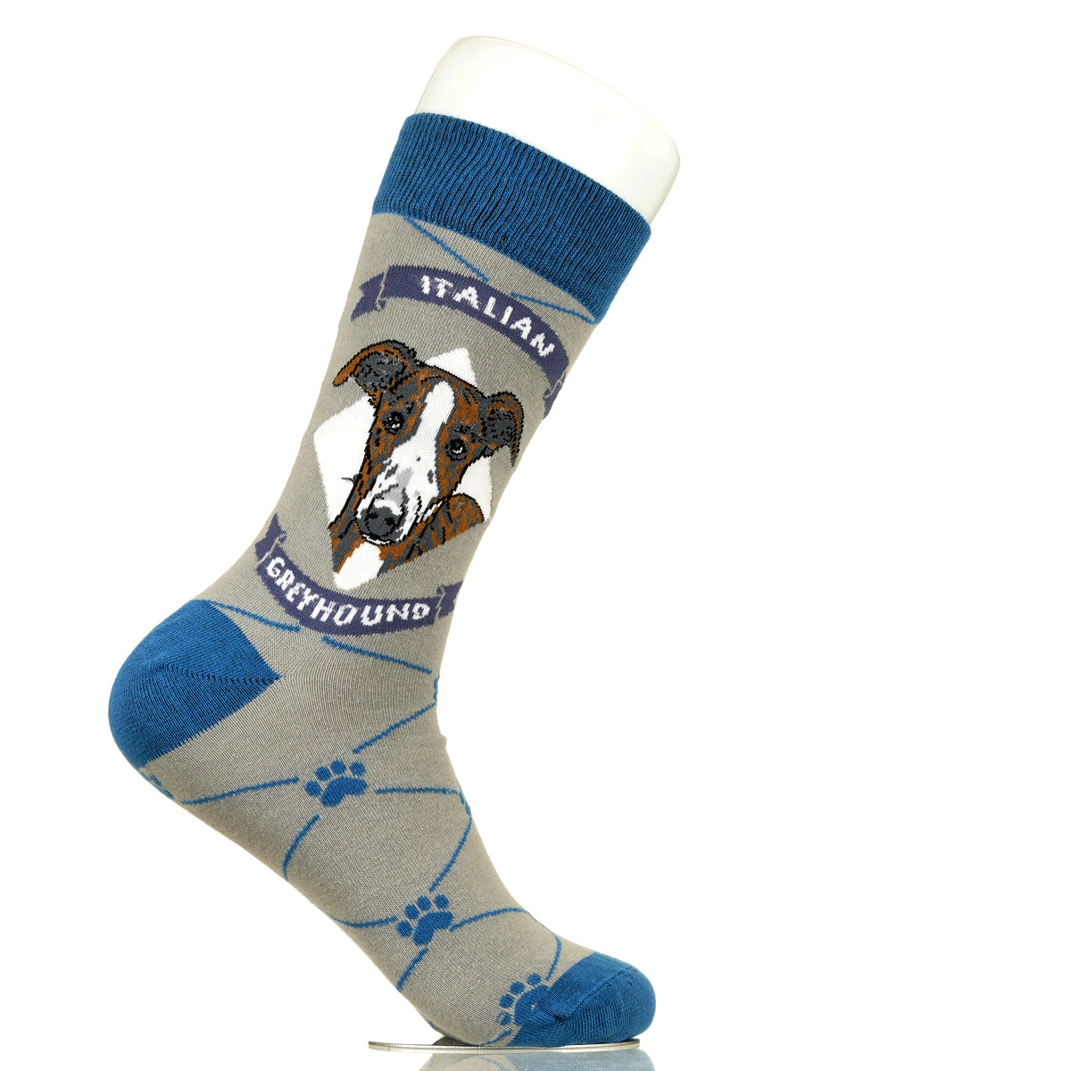 Italian Greyhound | Argyle Pups