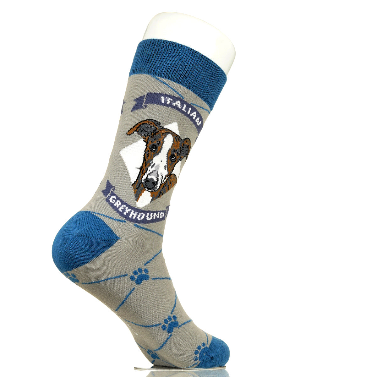 Italian Greyhound | Argyle Pups