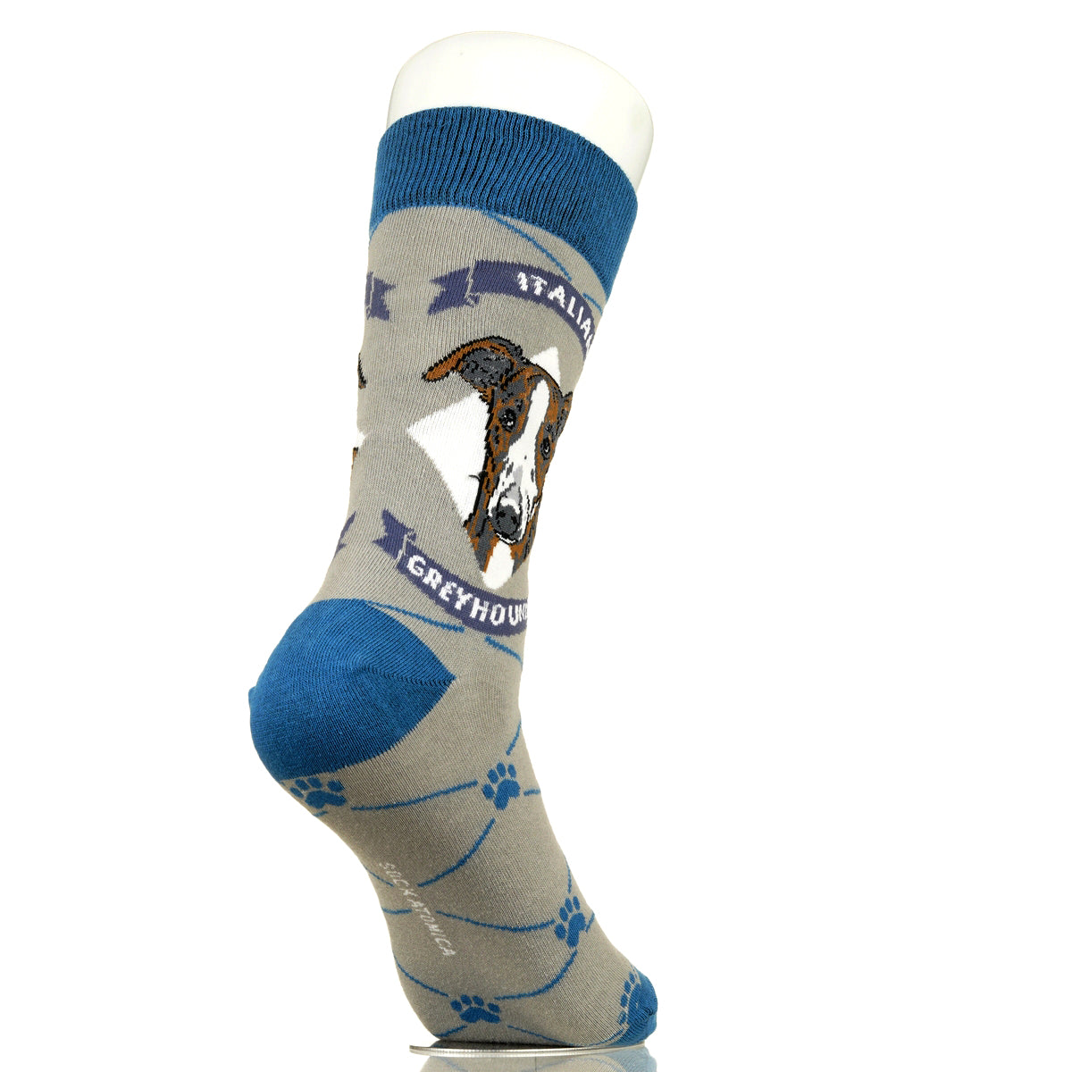 Italian Greyhound | Argyle Pups