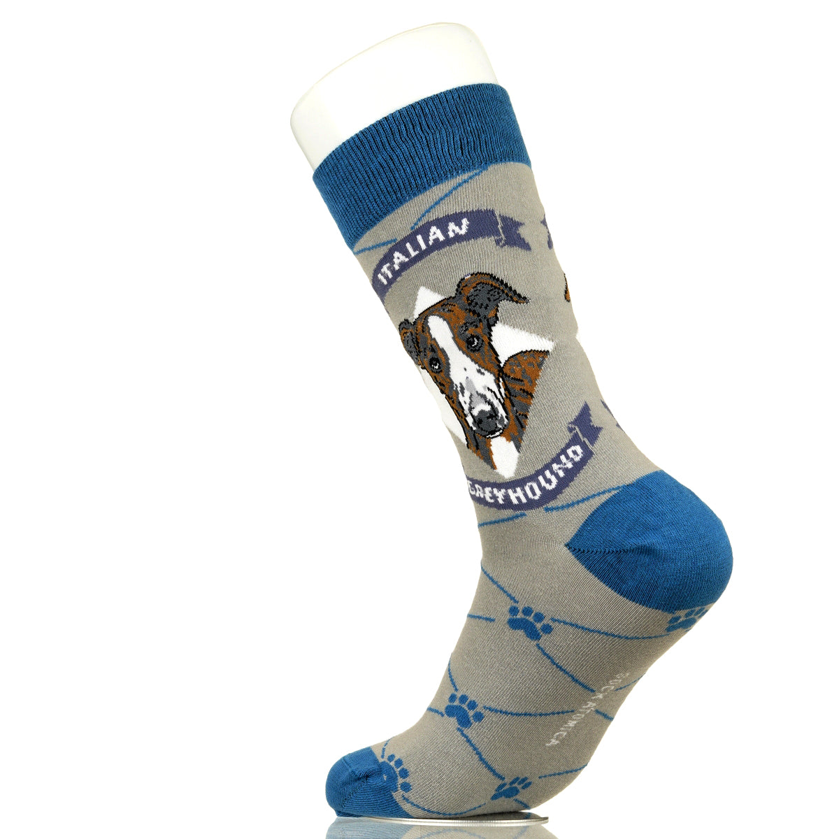 Italian Greyhound | Argyle Pups