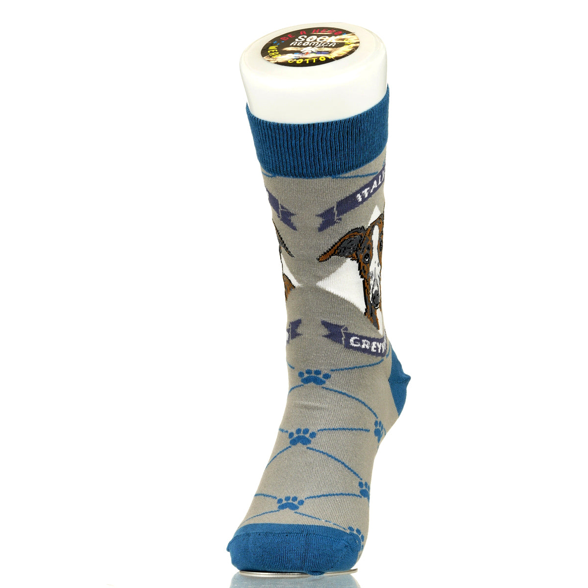 Italian Greyhound | Argyle Pups