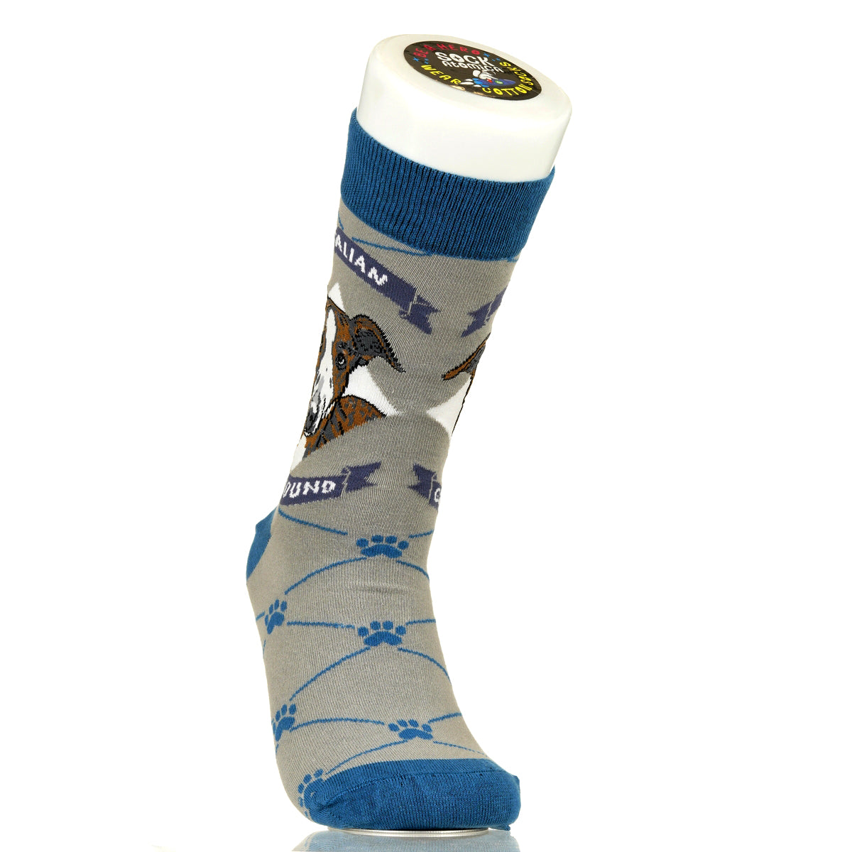 Italian Greyhound | Argyle Pups