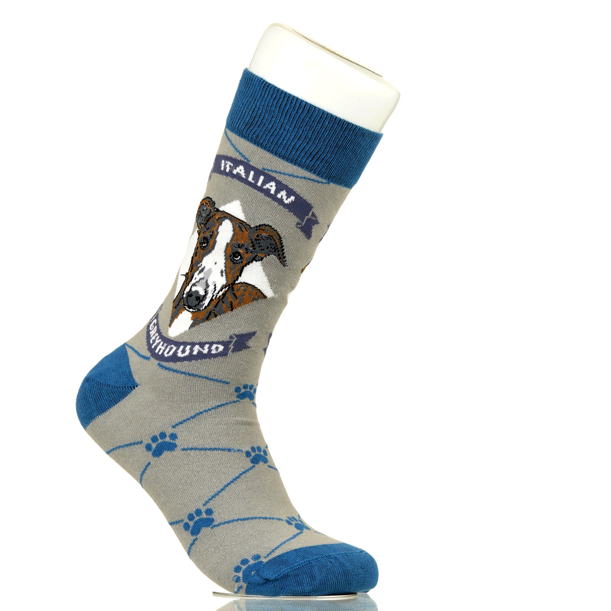 Italian Greyhound | Argyle Pups