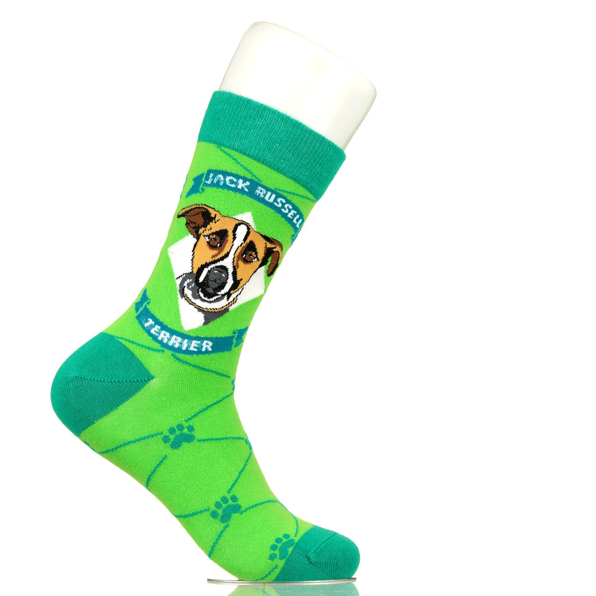 Jack Russell Terrier | Argyle Pups