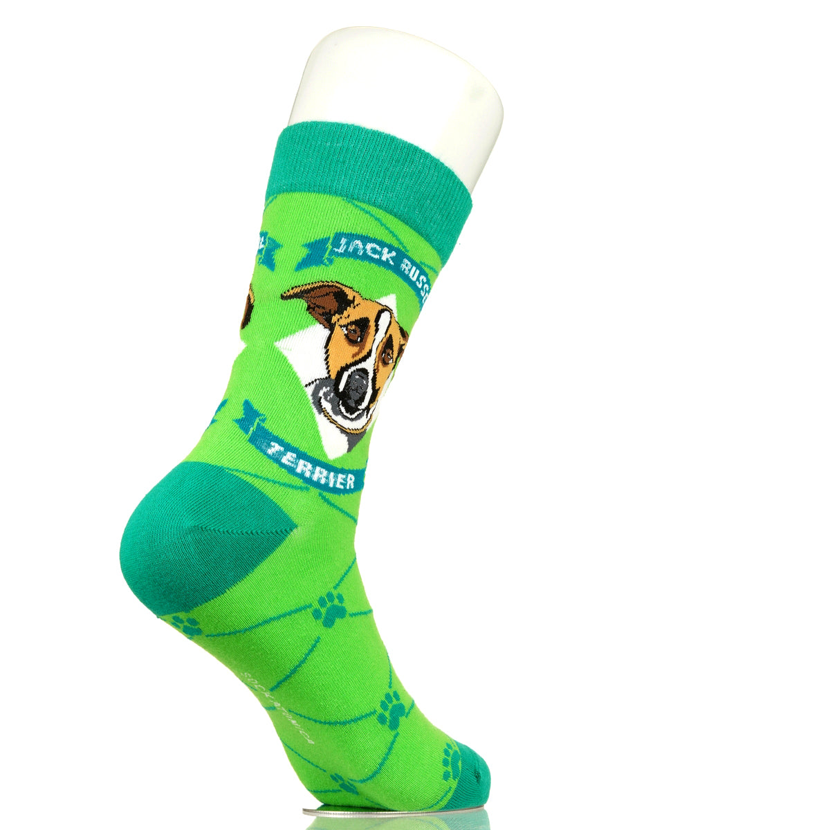 Jack Russell Terrier | Argyle Pups