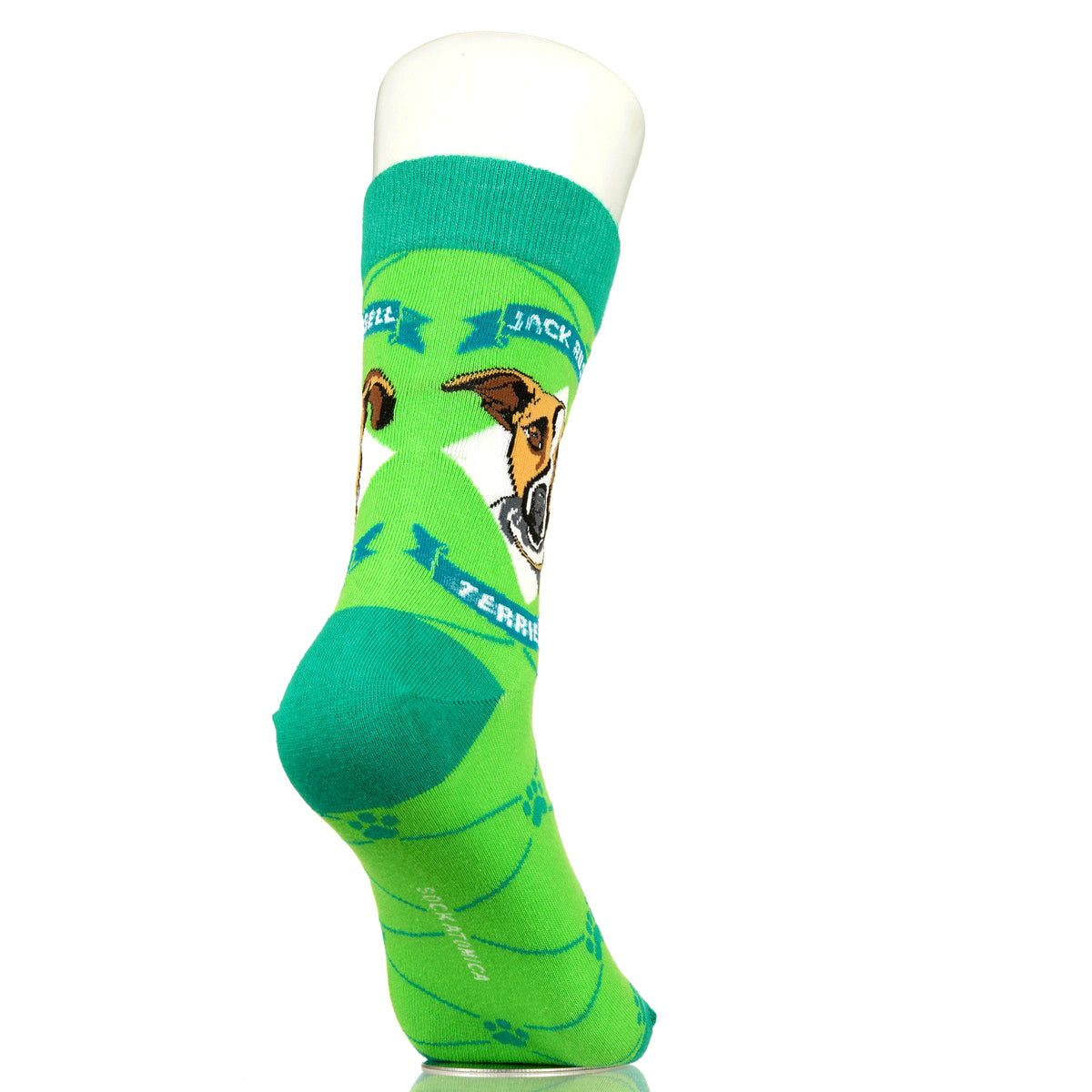 Jack Russell Terrier | Argyle Pups