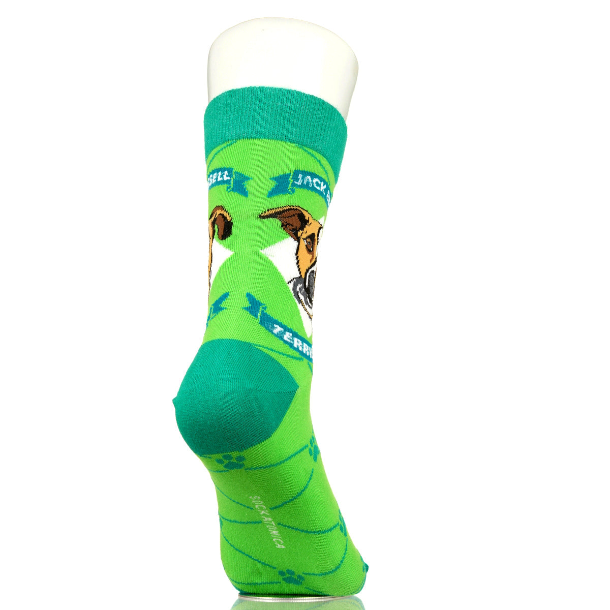 Jack Russell Terrier | Argyle Pups