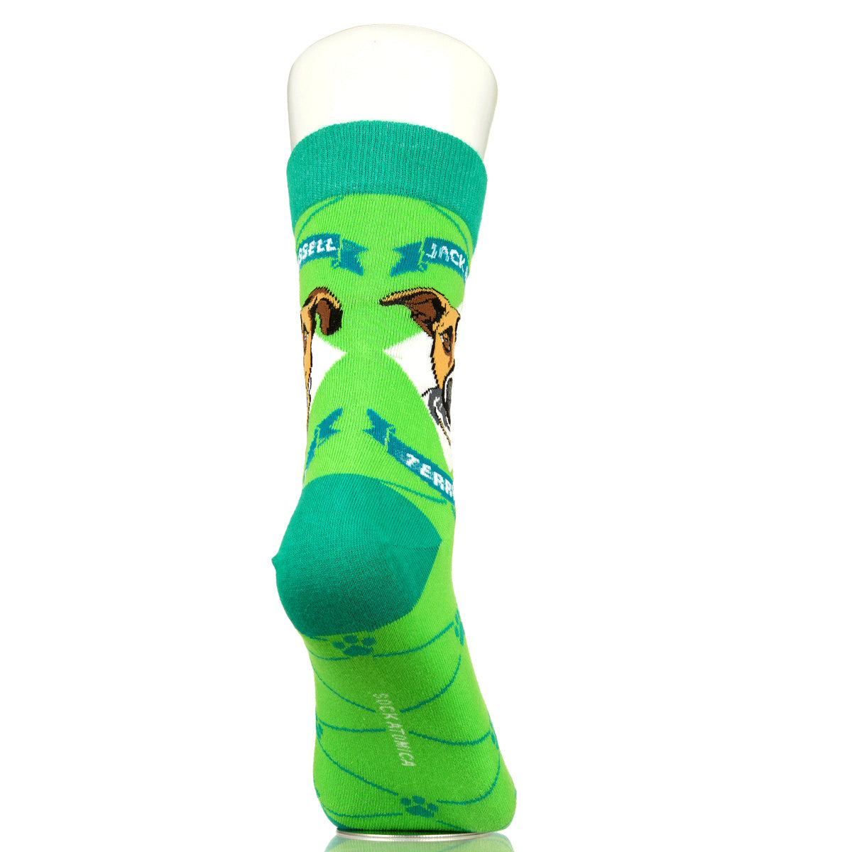 Jack Russell Terrier | Argyle Pups