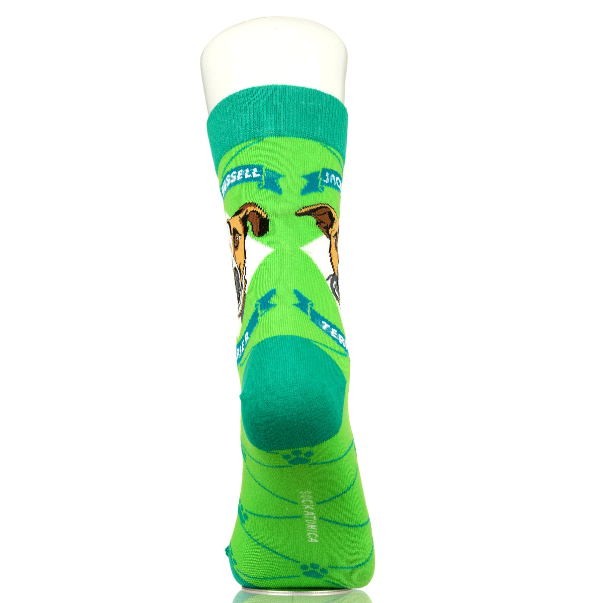 Jack Russell Terrier | Argyle Pups