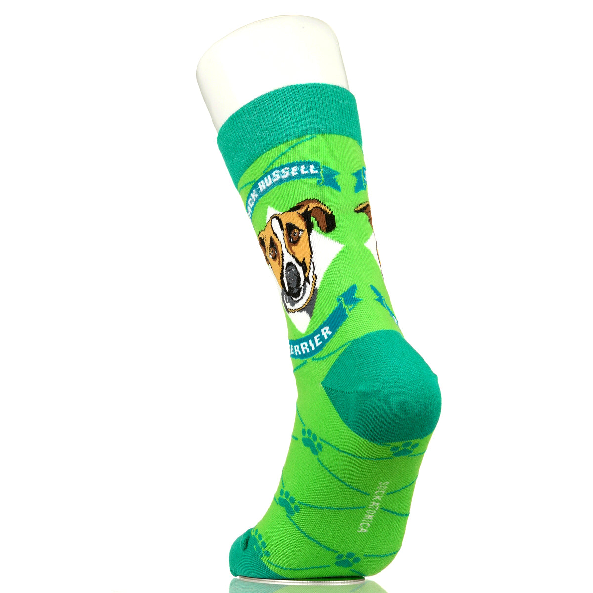 Jack Russell Terrier | Argyle Pups