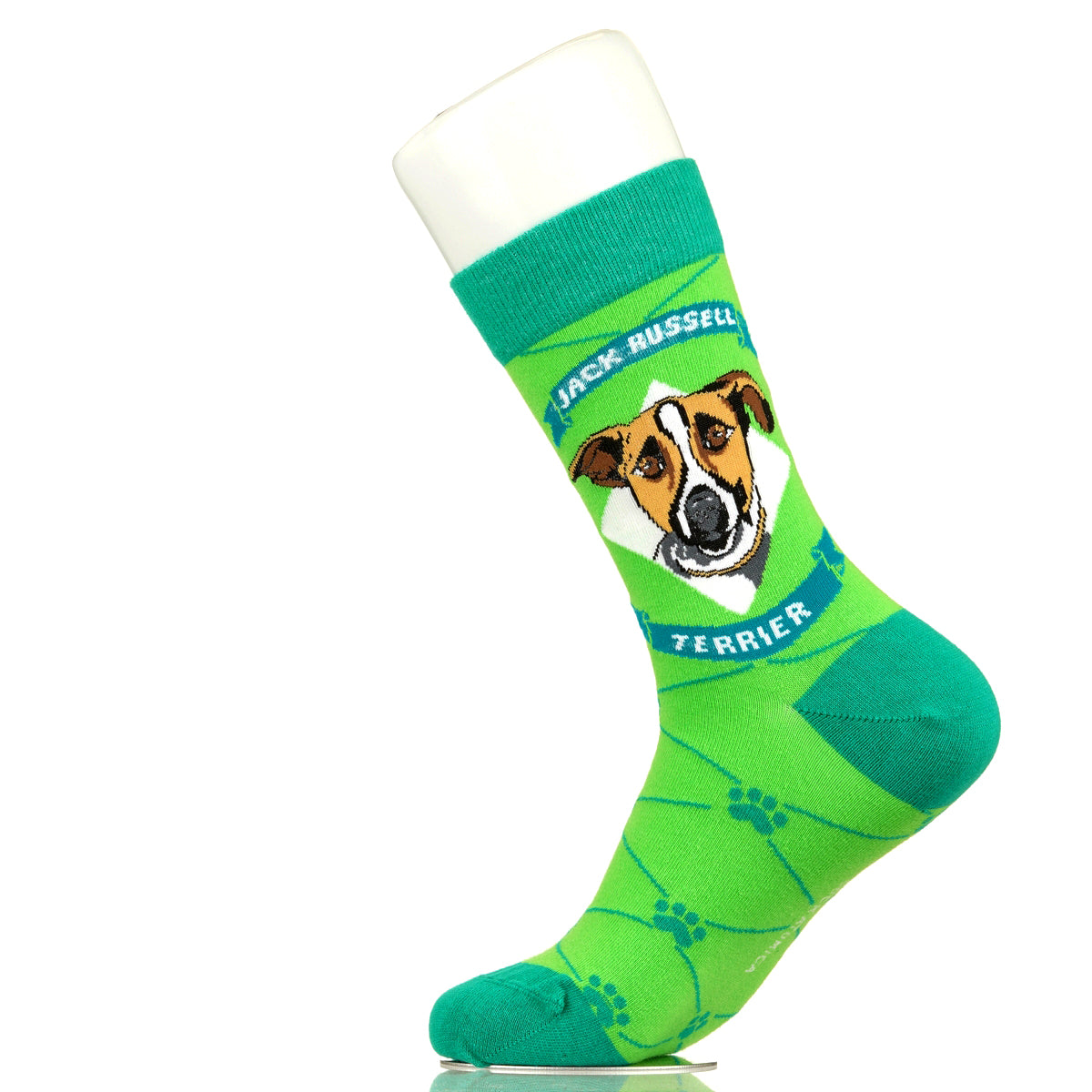 Jack Russell Terrier | Argyle Pups