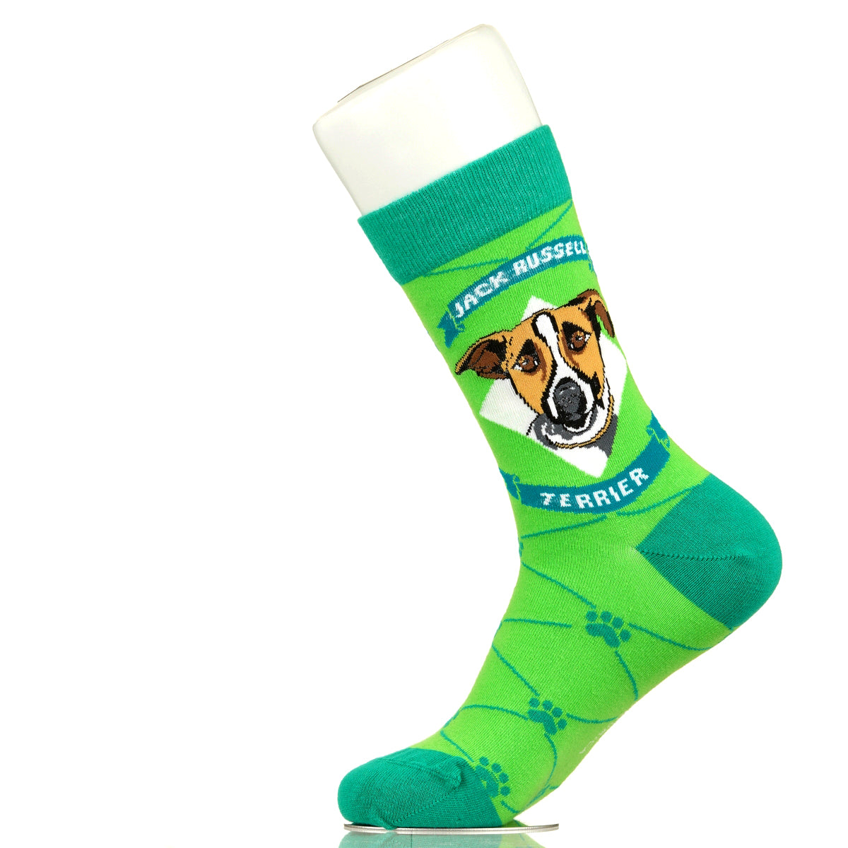 Jack Russell Terrier | Argyle Pups