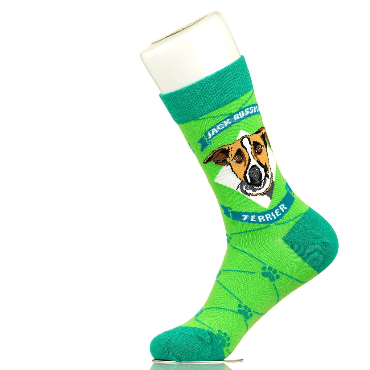 Jack Russell Terrier | Argyle Pups