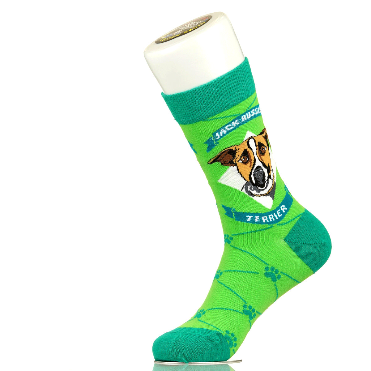 Jack Russell Terrier | Argyle Pups