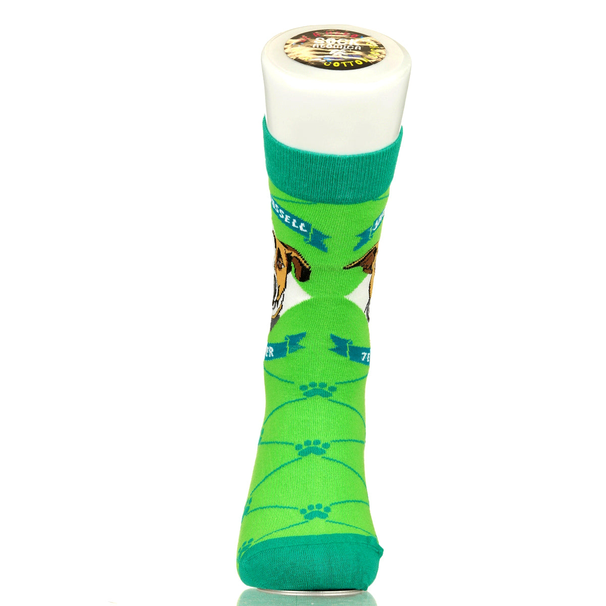 Jack Russell Terrier | Argyle Pups