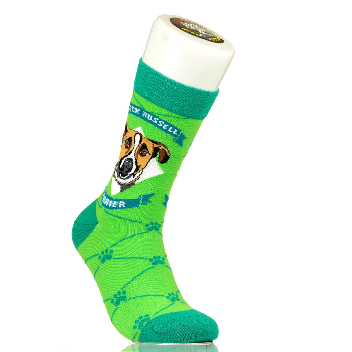 Jack Russell Terrier | Argyle Pups