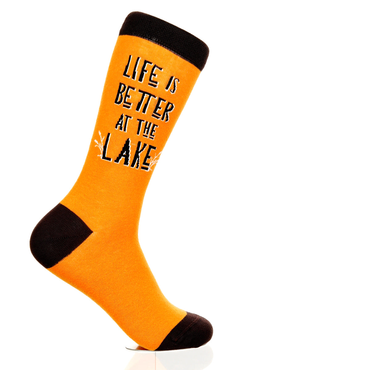 Lake Is Better At The Lake