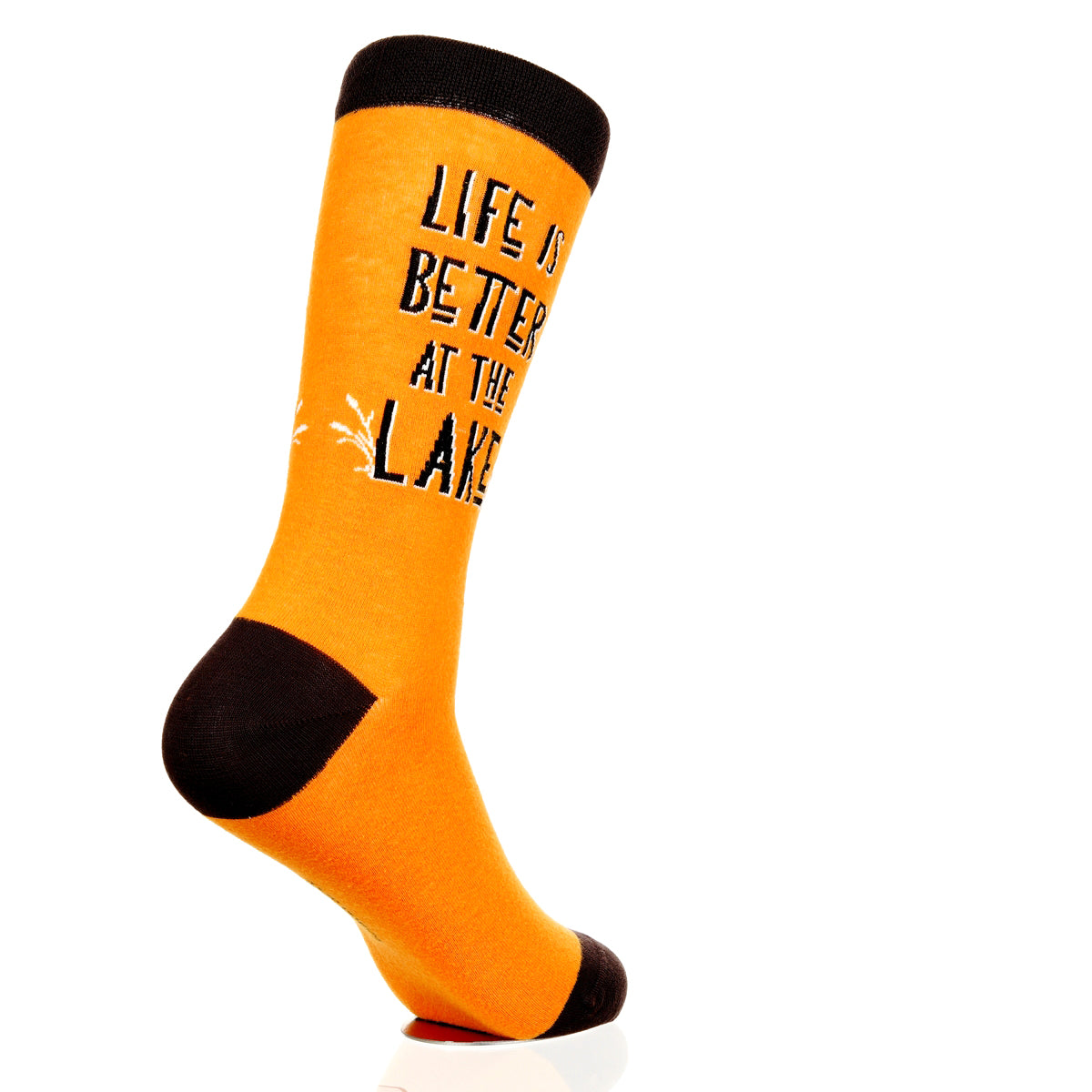 Lake Is Better At The Lake