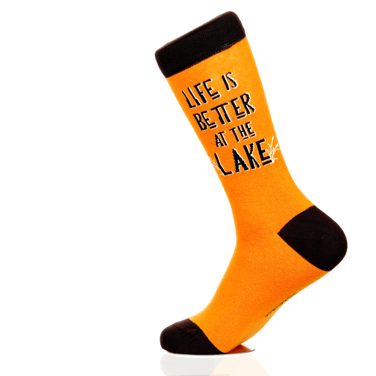 Lake Is Better At The Lake