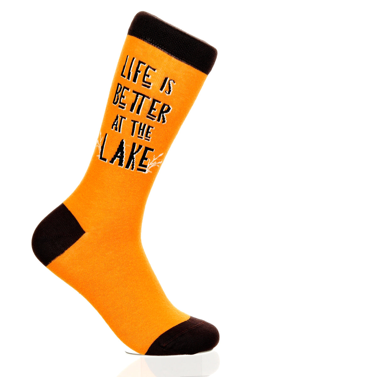 Lake Is Better At The Lake