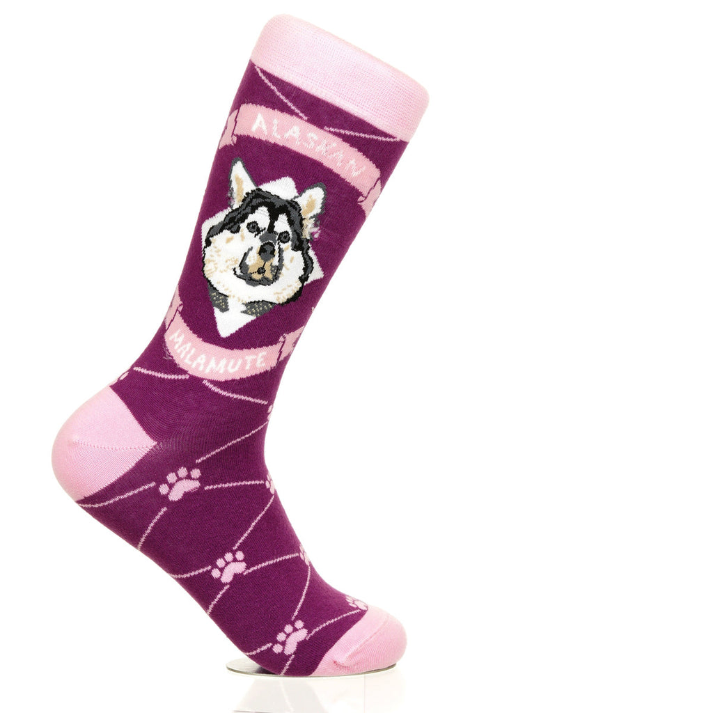 Alaskan Malmute | Argyle Pups