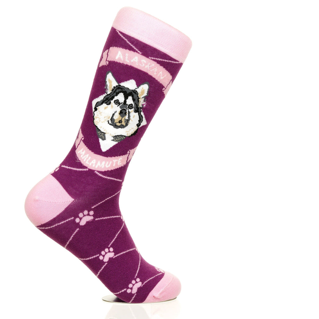 Alaskan Malmute | Argyle Pups