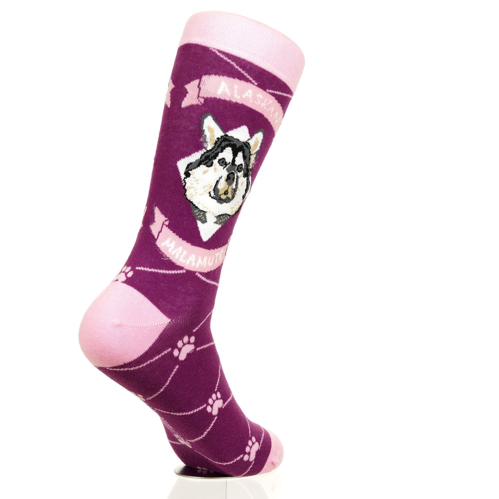 Alaskan Malmute | Argyle Pups