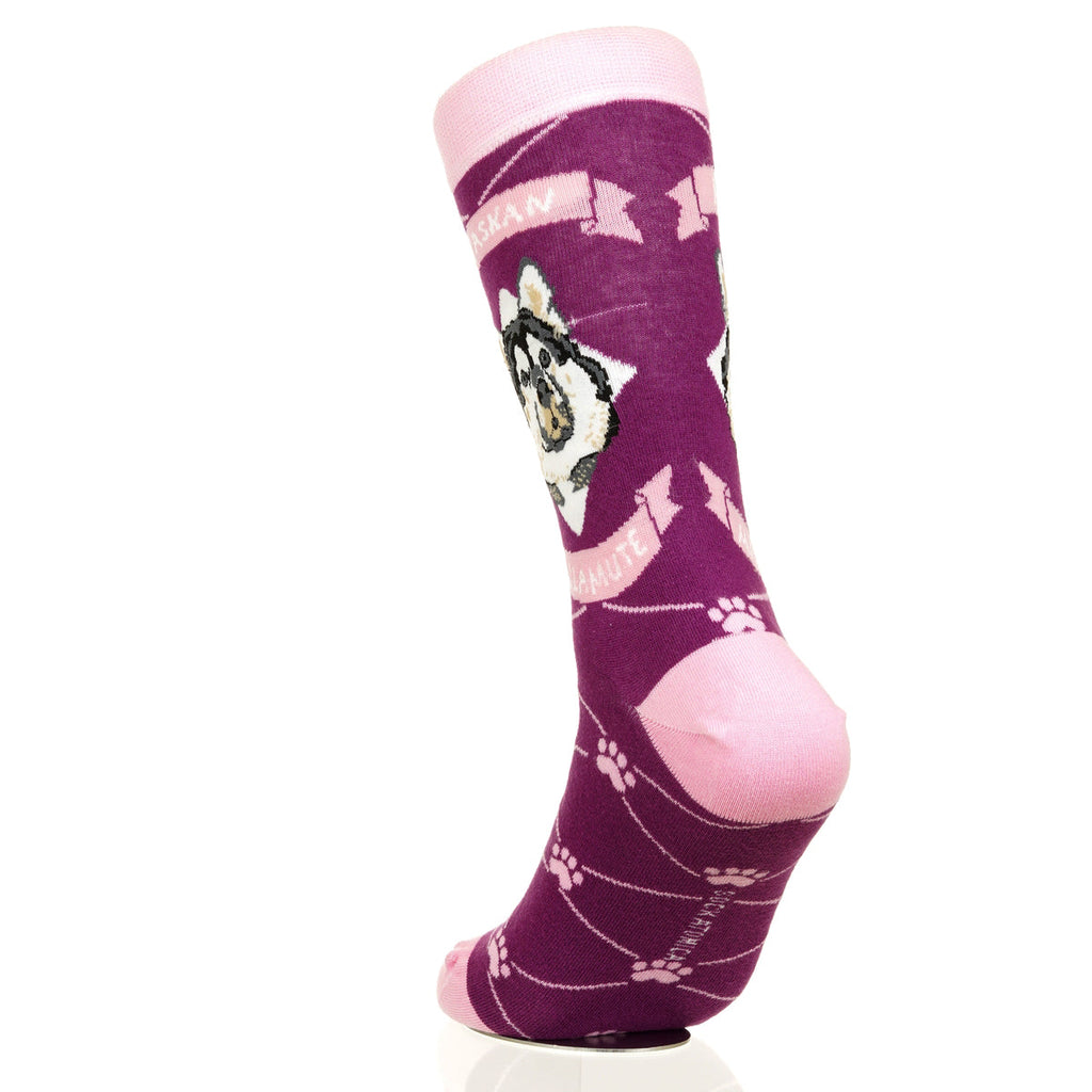 Alaskan Malmute | Argyle Pups