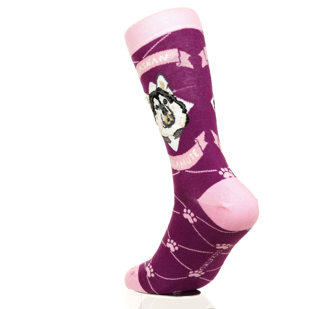 Alaskan Malmute | Argyle Pups