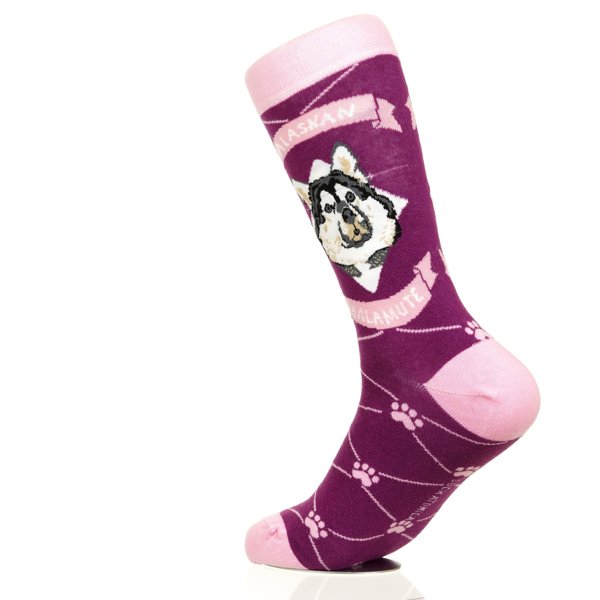 Alaskan Malmute | Argyle Pups