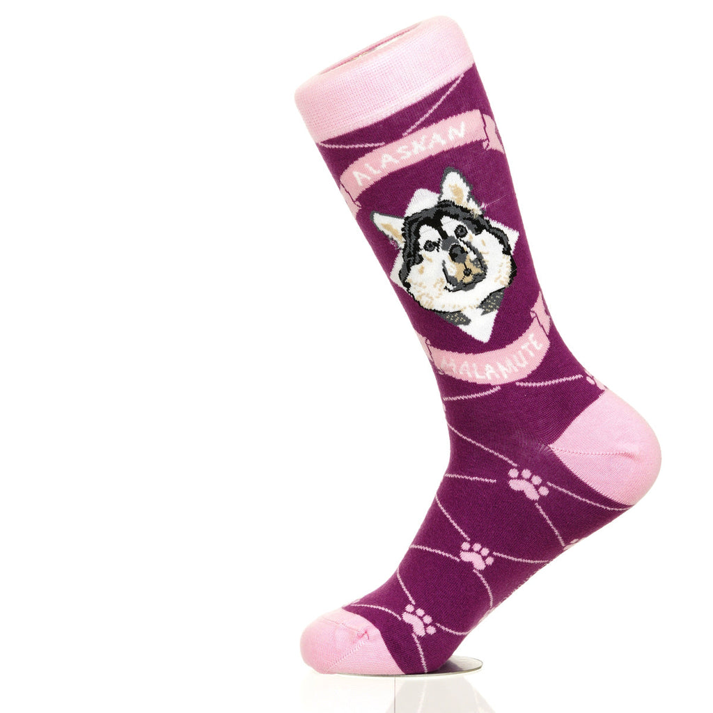 Alaskan Malmute | Argyle Pups