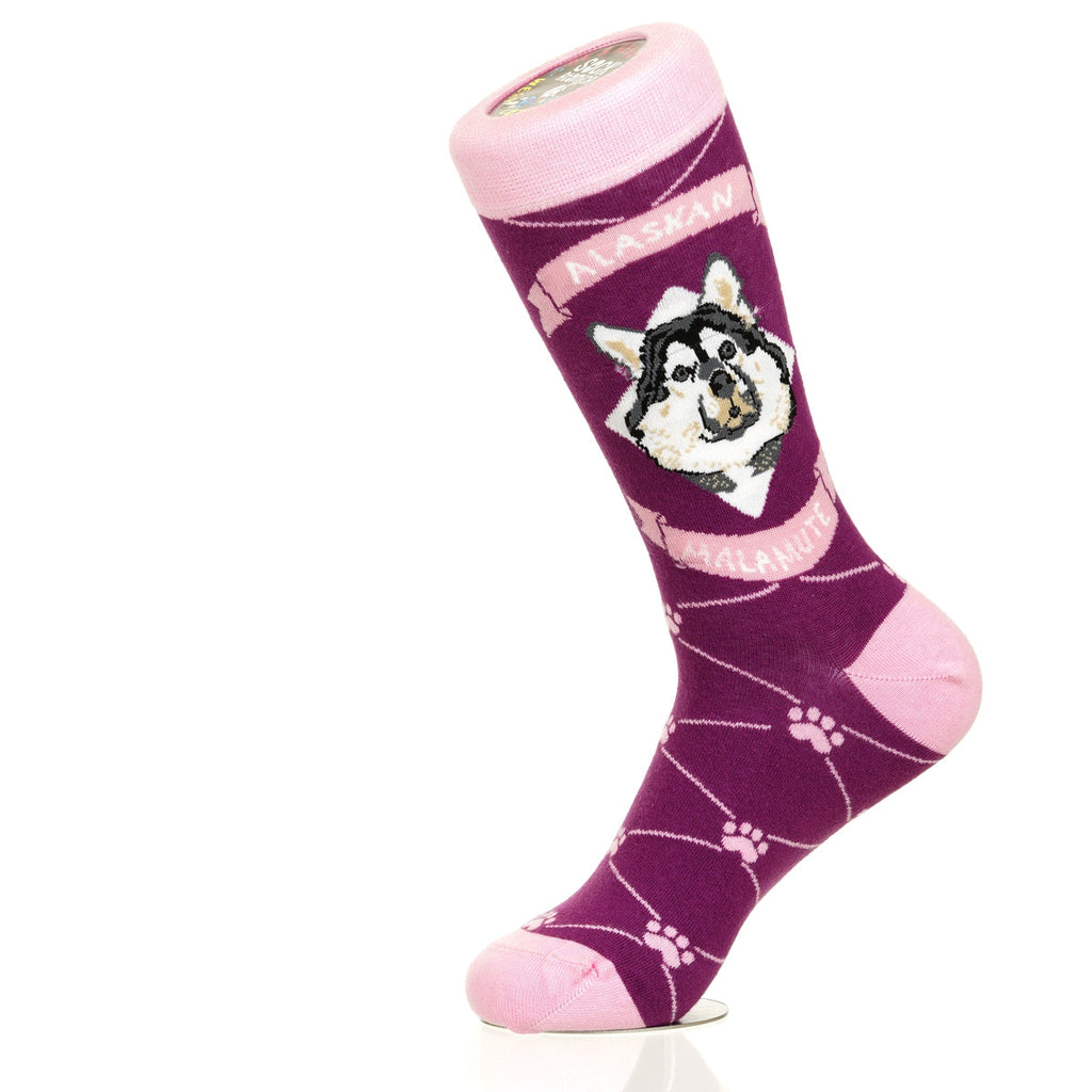 Alaskan Malmute | Argyle Pups