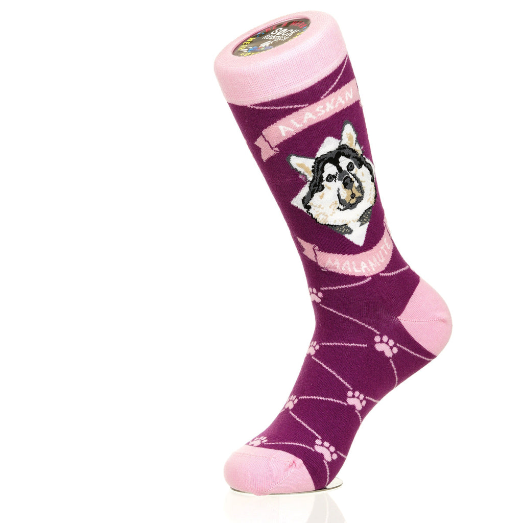 Alaskan Malmute | Argyle Pups