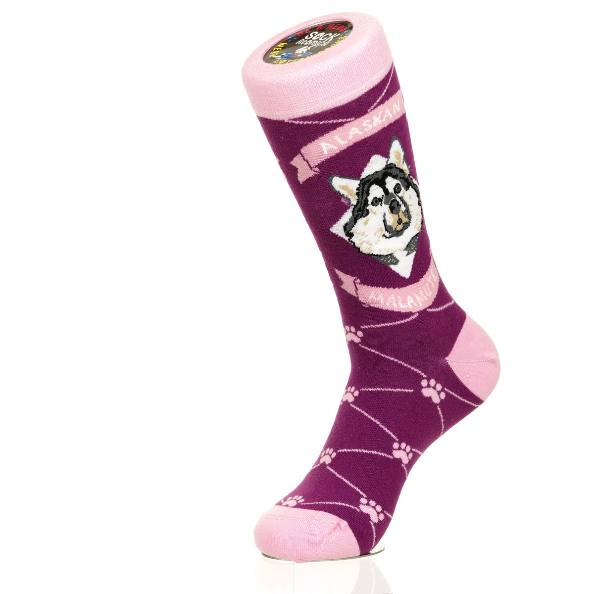 Alaskan Malmute | Argyle Pups