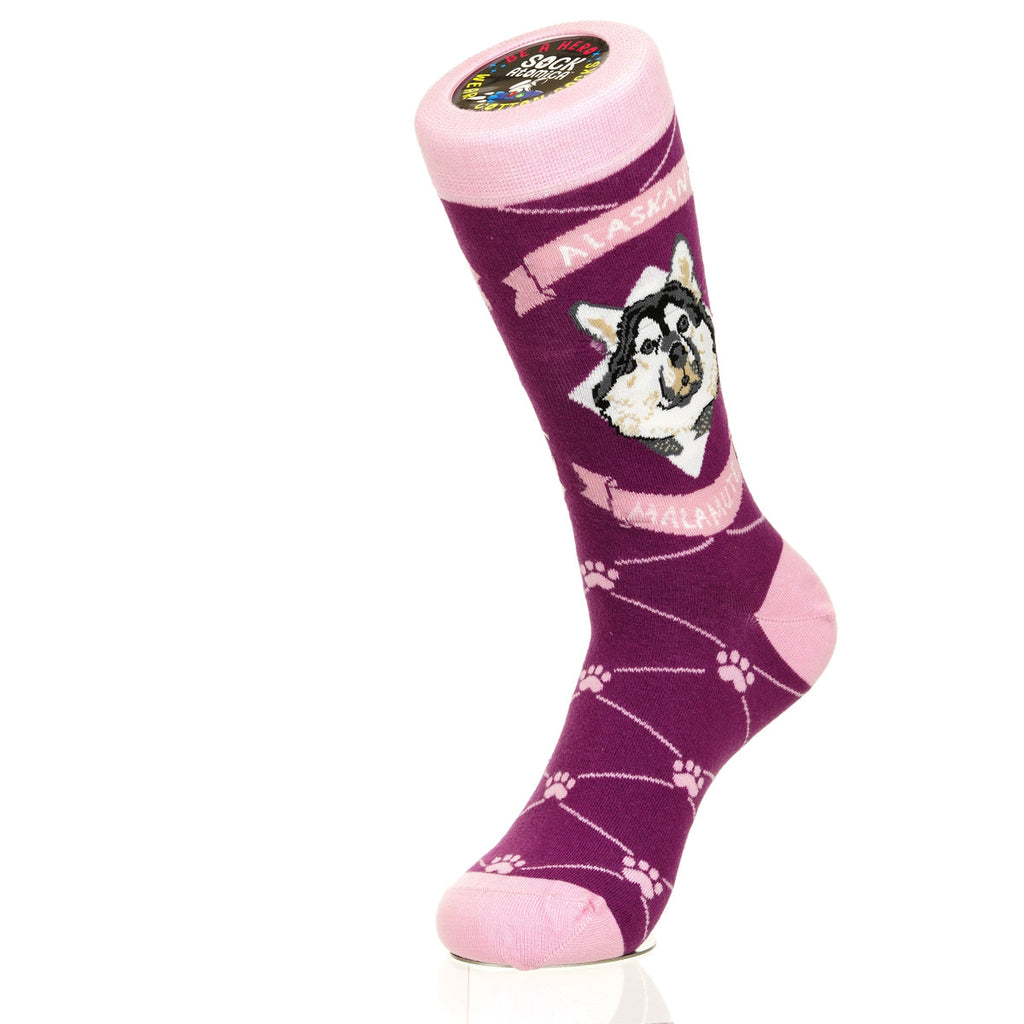 Alaskan Malmute | Argyle Pups