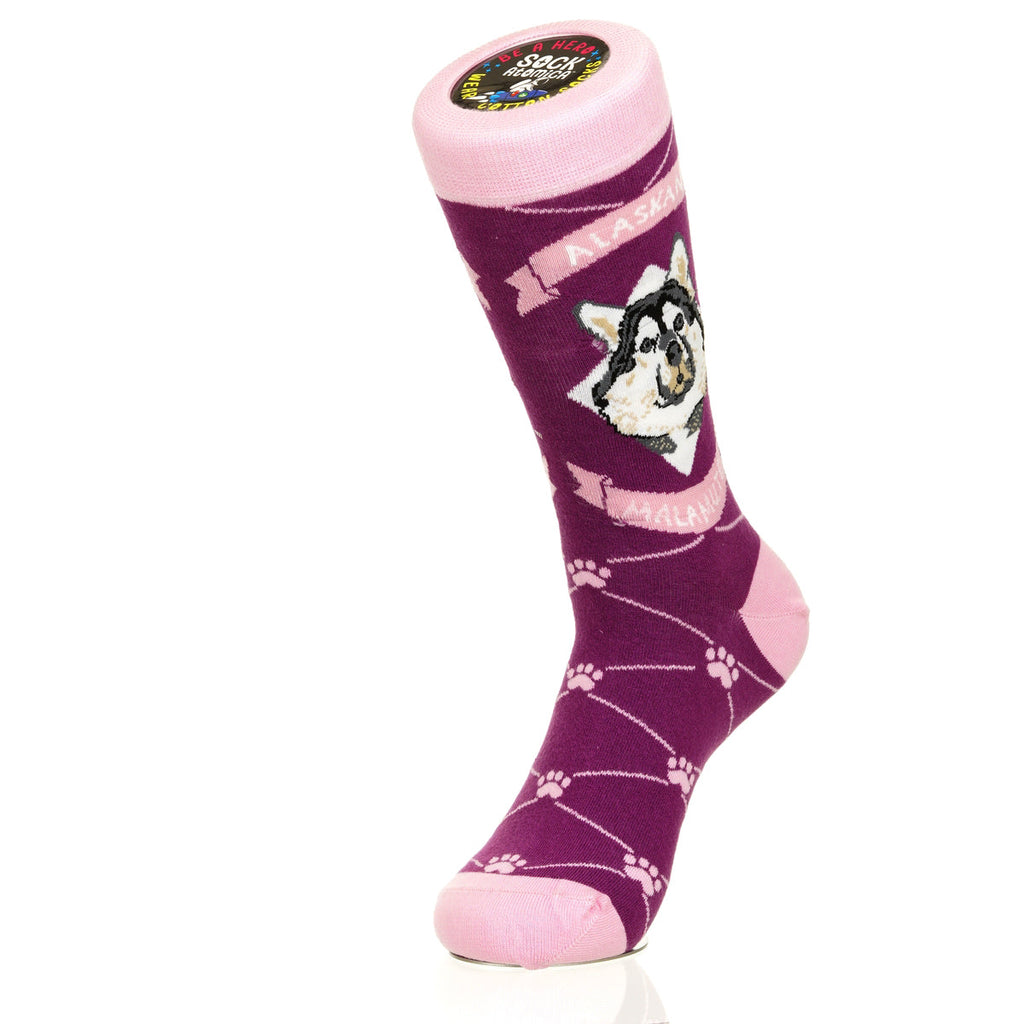 Alaskan Malmute | Argyle Pups