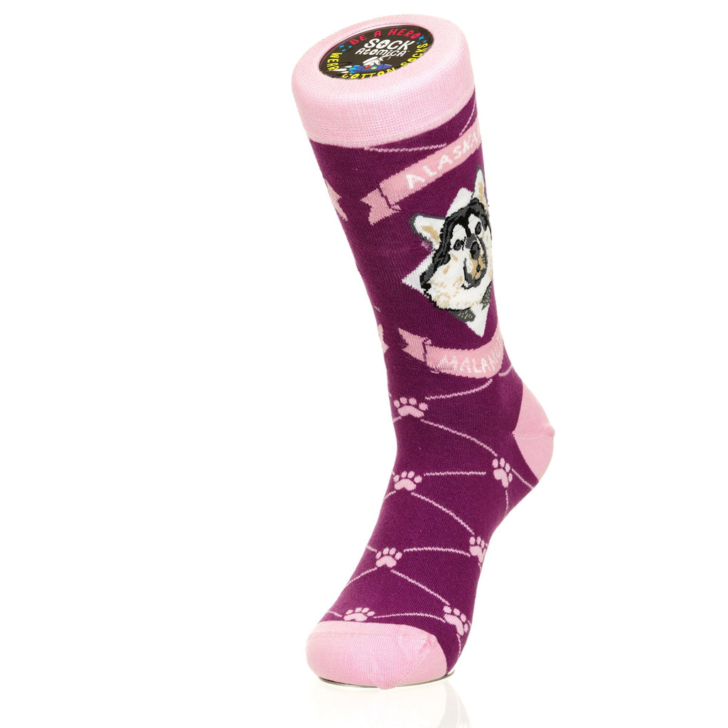 Alaskan Malmute | Argyle Pups