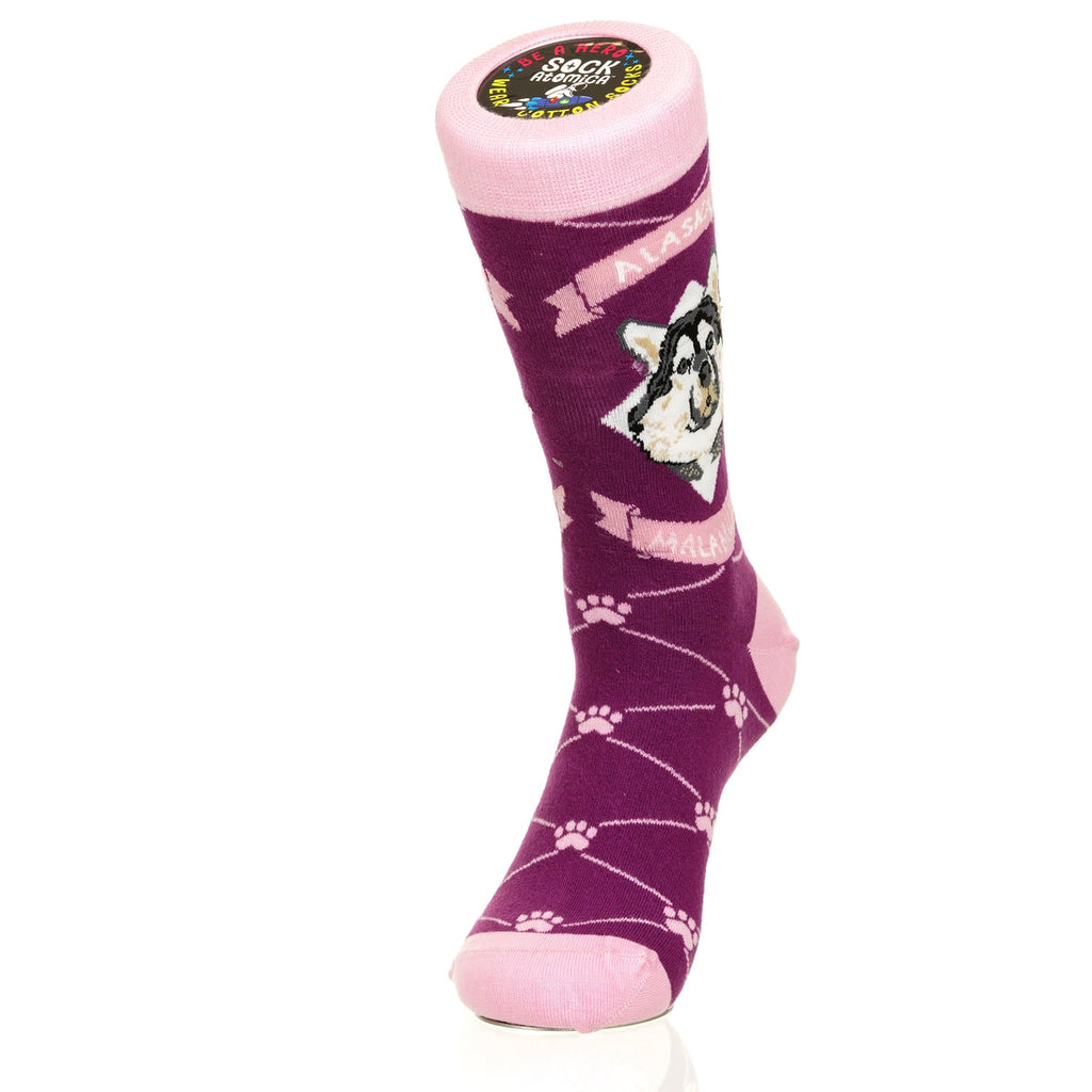 Alaskan Malmute | Argyle Pups