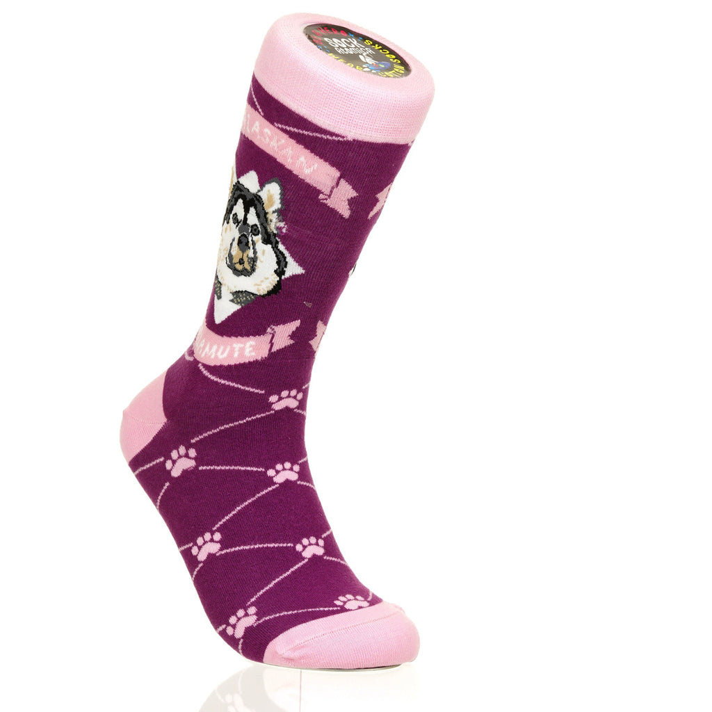 Alaskan Malmute | Argyle Pups