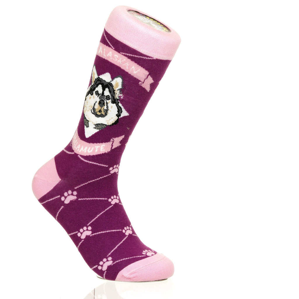 Alaskan Malmute | Argyle Pups