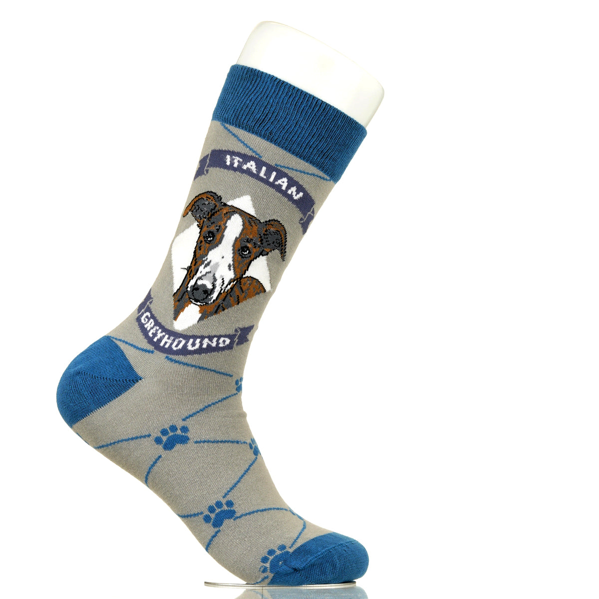 Italian Greyhound | Argyle Pups