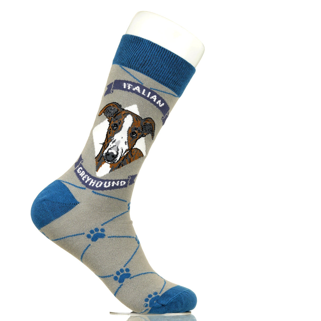 Italian Greyhound | Argyle Pups