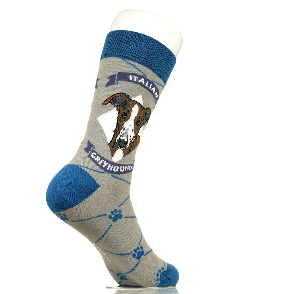 Italian Greyhound | Argyle Pups