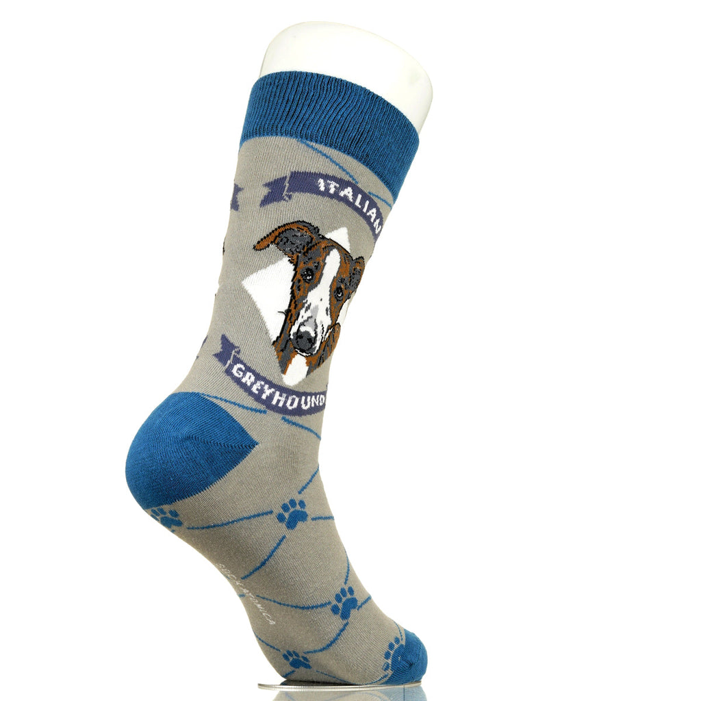 Italian Greyhound | Argyle Pups