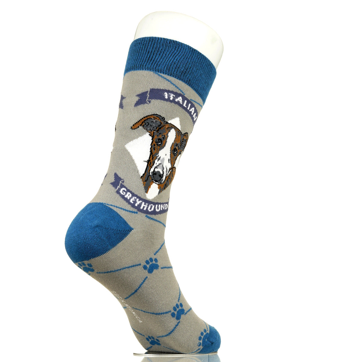 Italian Greyhound | Argyle Pups